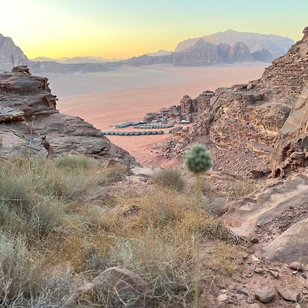 Rum Magic Nights Wadi Rum Eksteriør billede