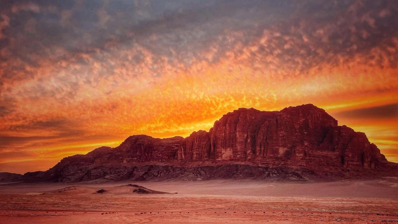 Rum Magic Nights Wadi Rum Eksteriør billede